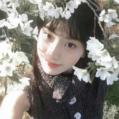 网军部队