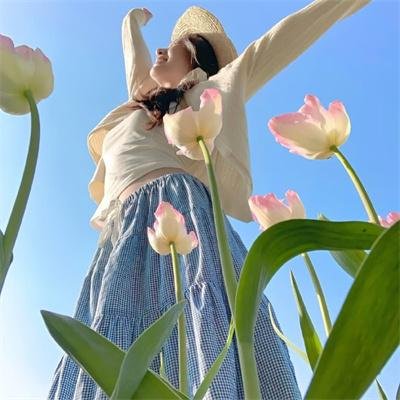 纵横四海